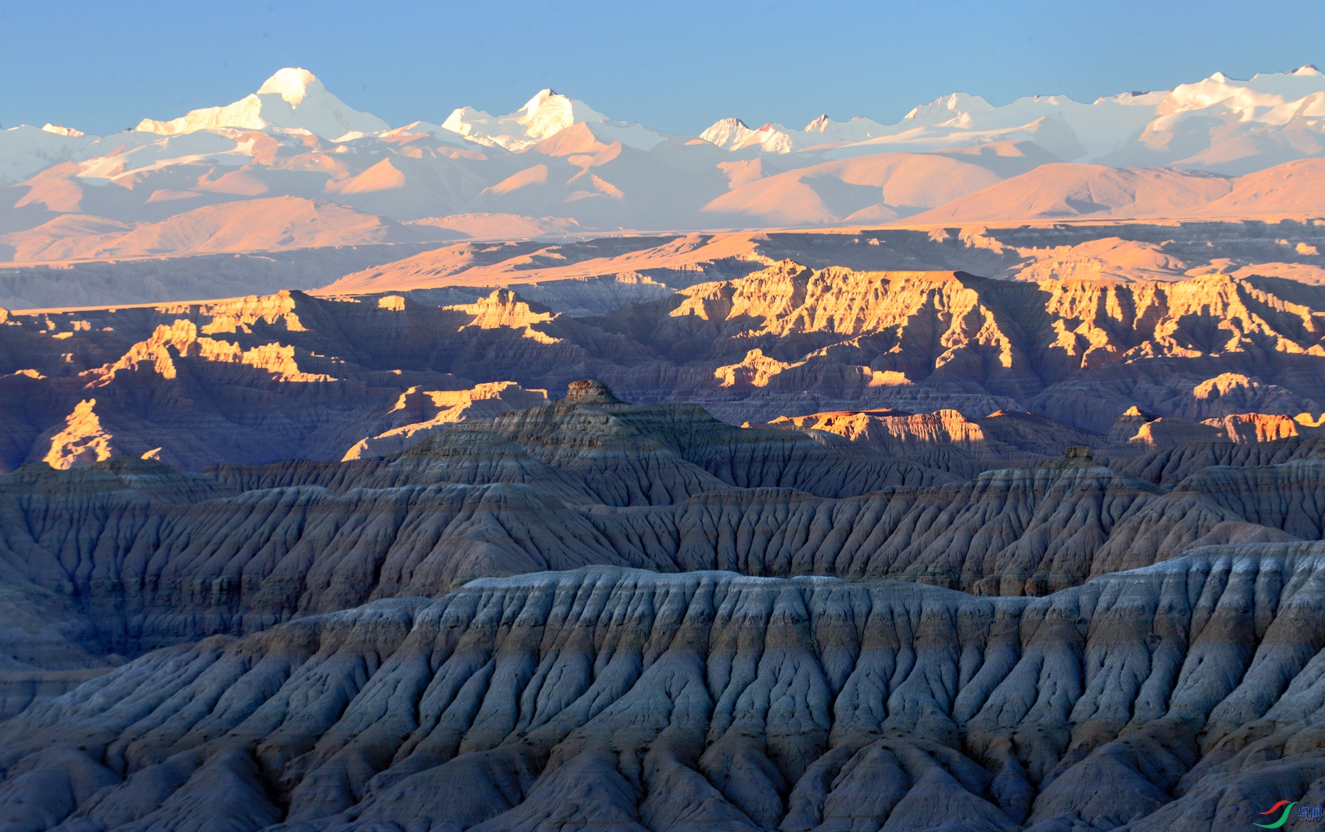 2��ԭӳ�� ������s.jpg