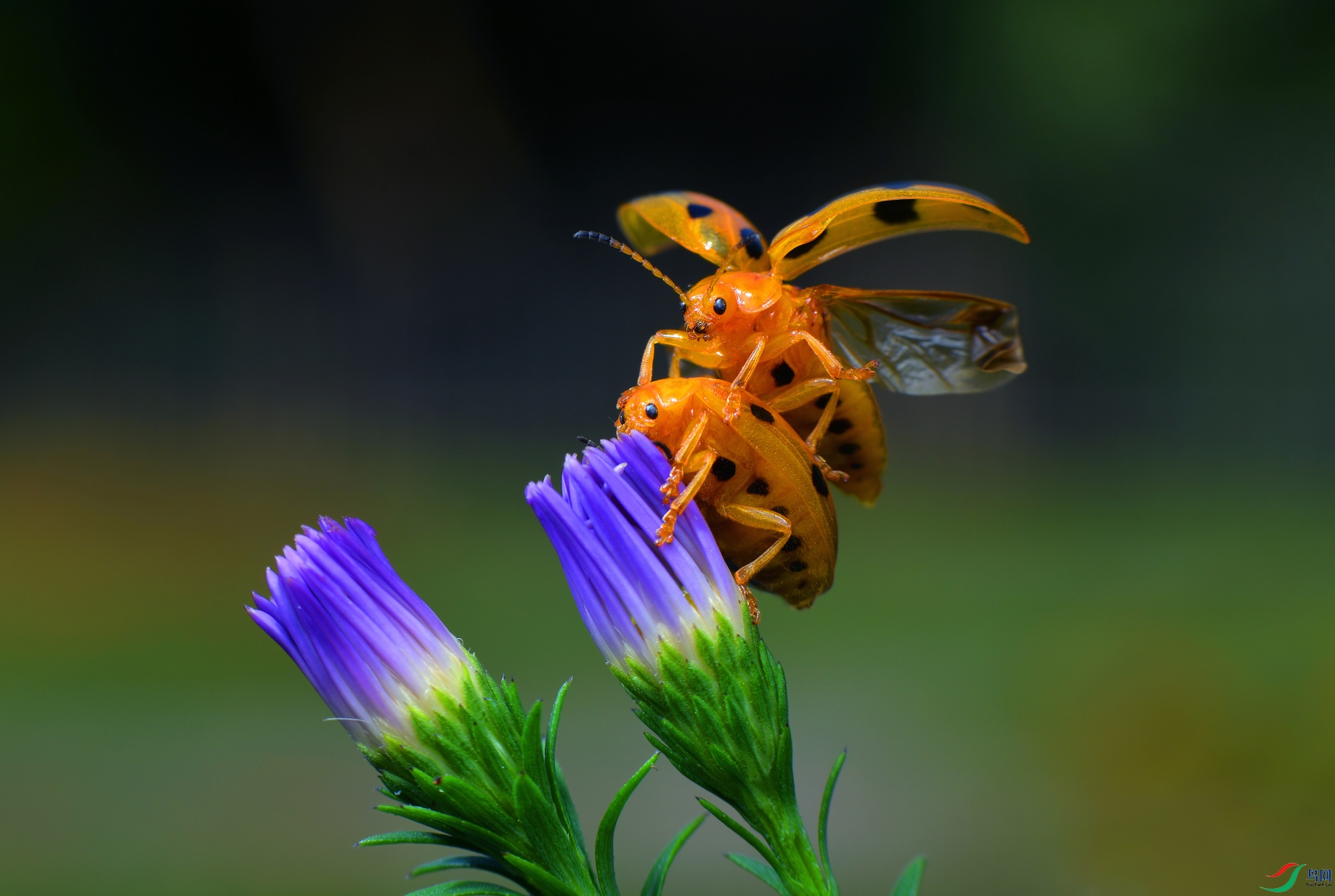 DSC_3906 ����.jpg