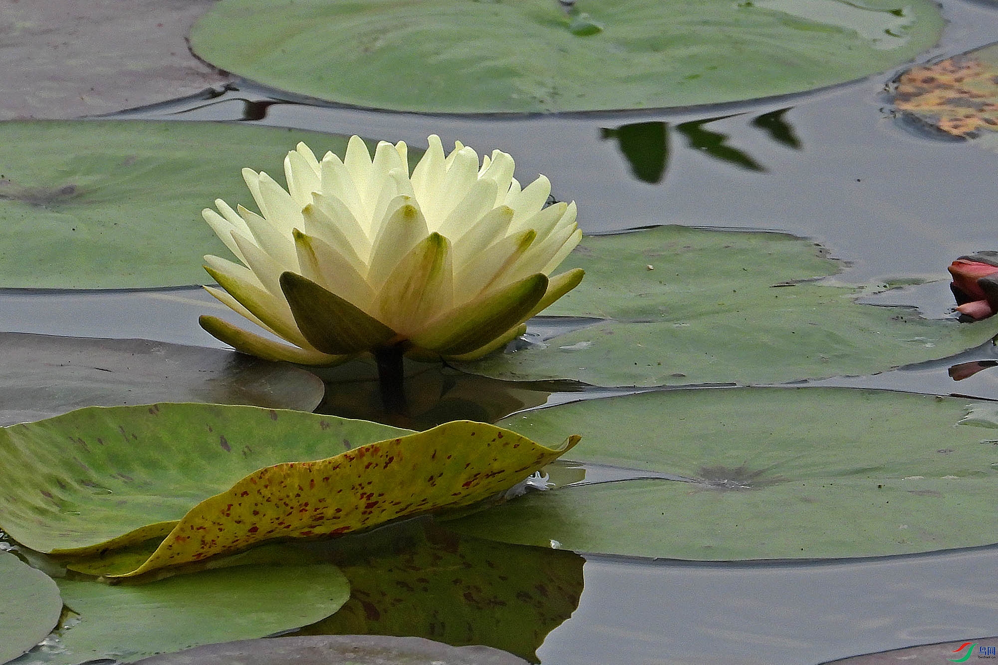 DSCN7348.JPG