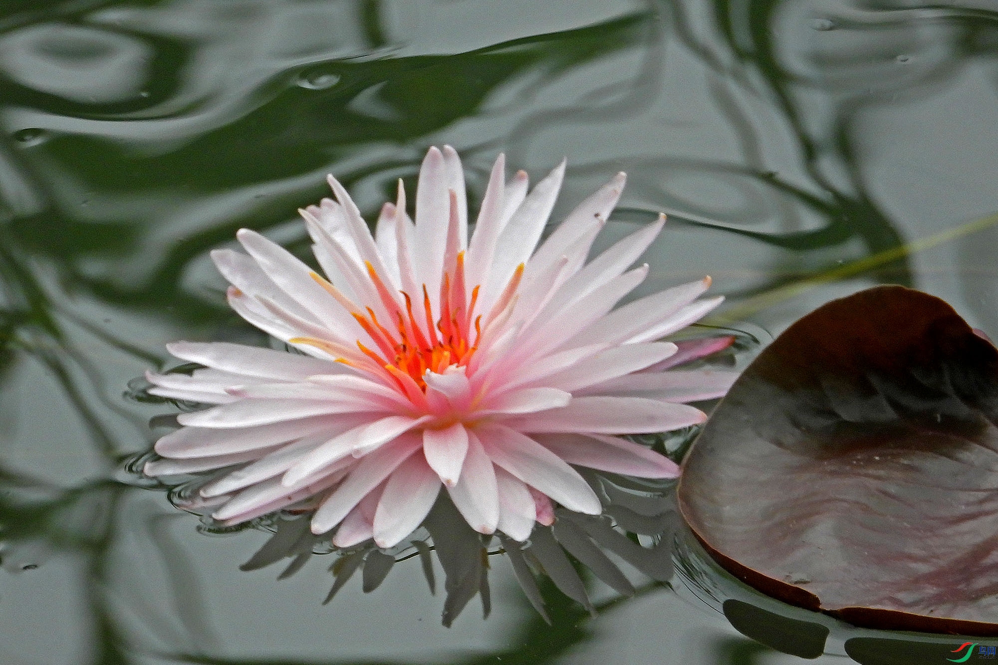 DSCN8261.JPG