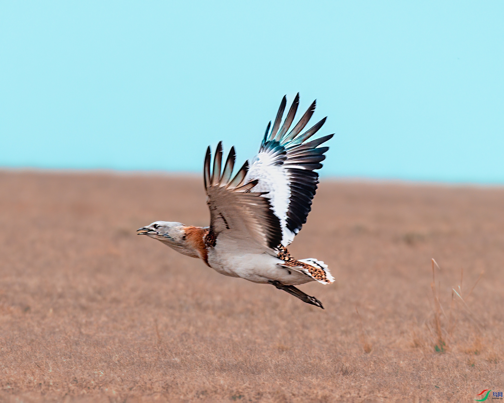 DSC_6114.jpg
