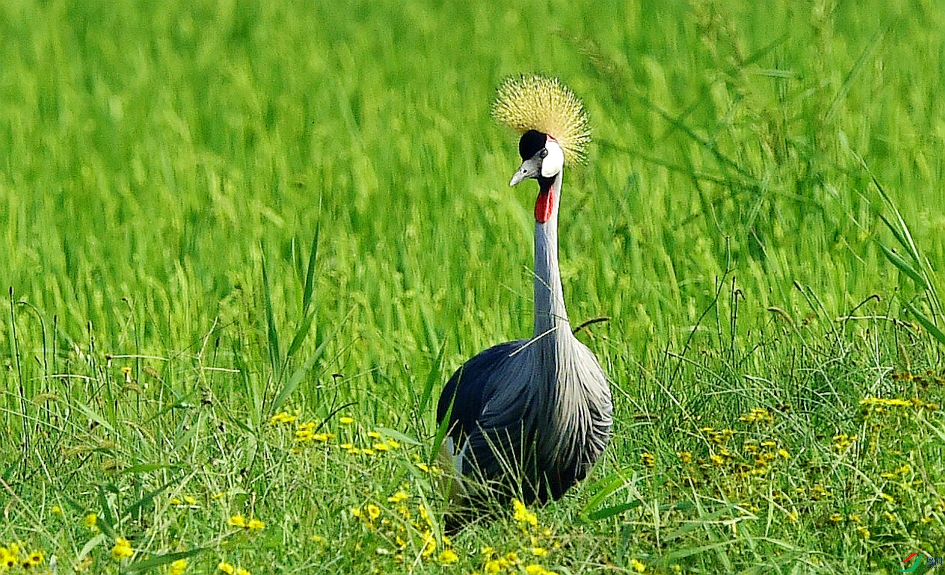 DSC_9188_���� - ����.jpg