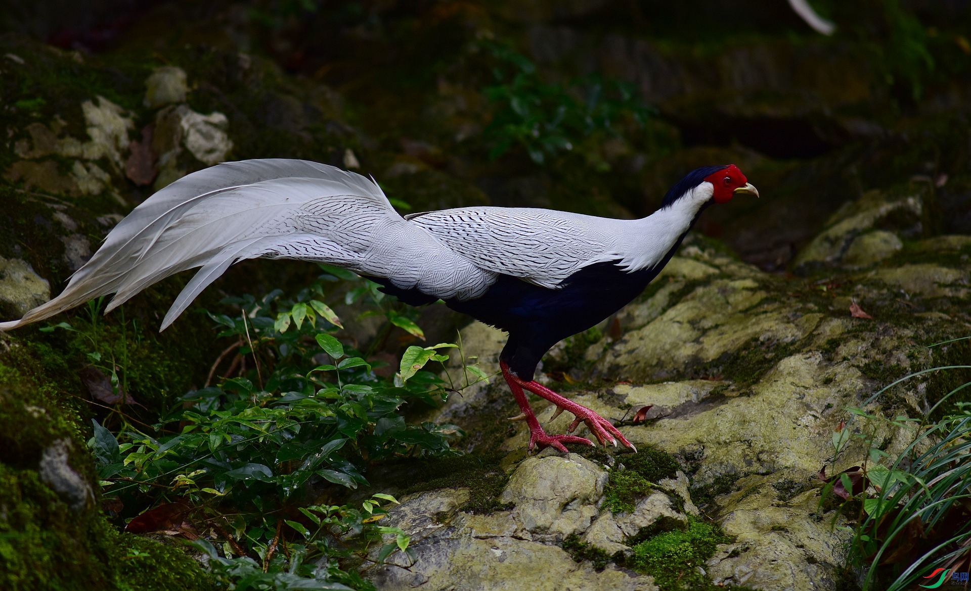 D8I_0395.jpg