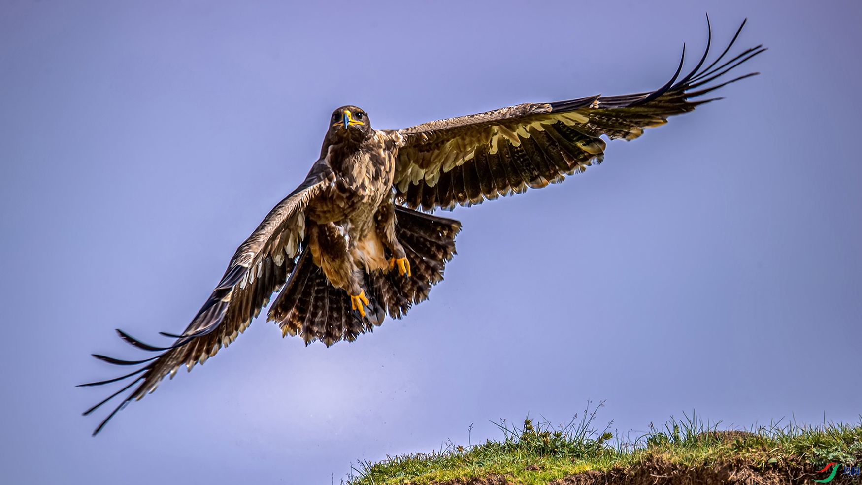 ����Ȫˮ���ˣ���˫ȫ�� (1).jpg