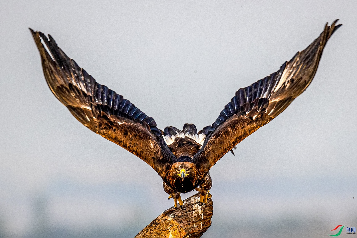 ����Ȫˮ���ˣ���˫ȫ�� (6).jpg