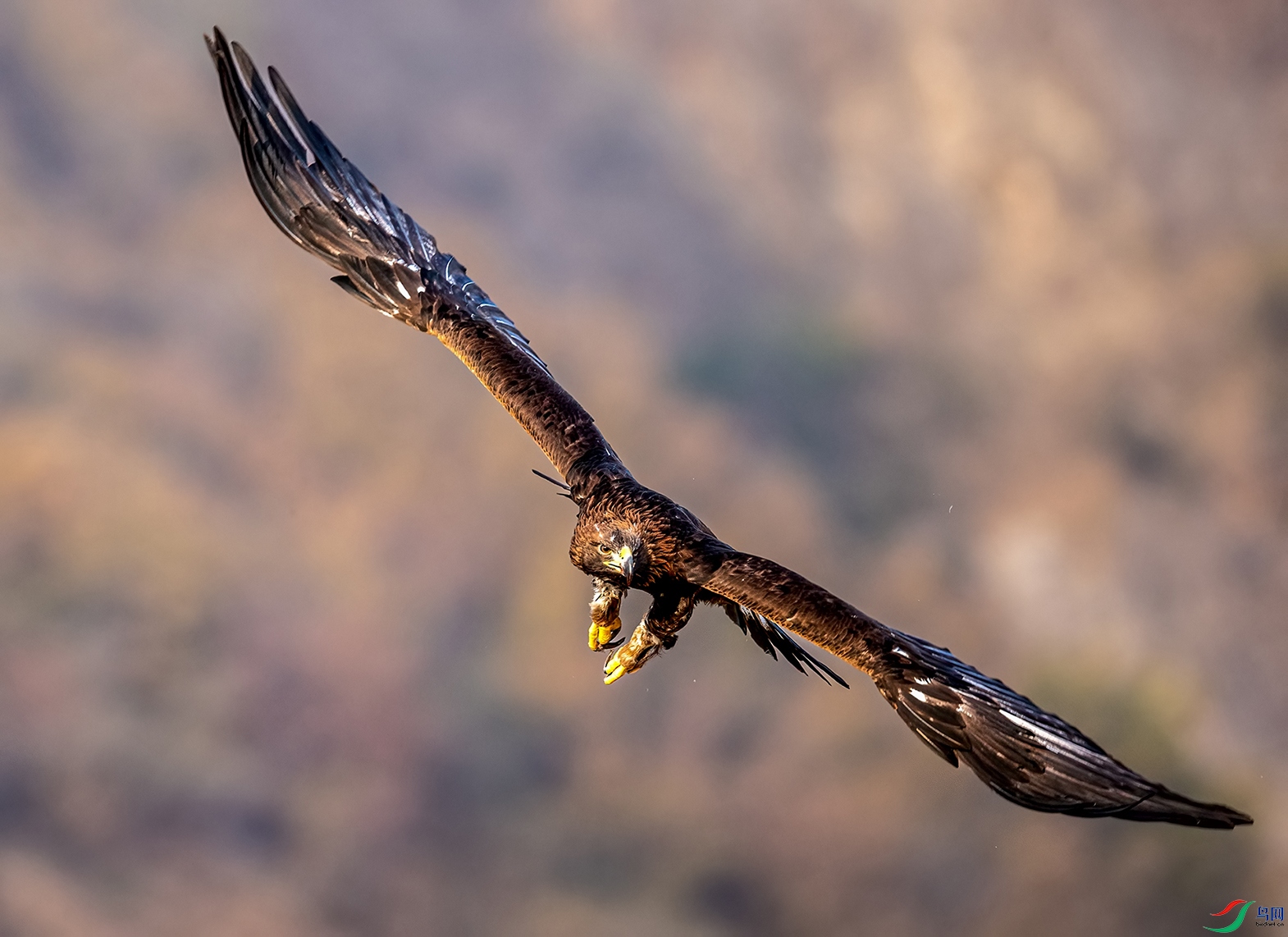 ����Ȫˮ���ˣ���˫ȫ�� (7).jpg