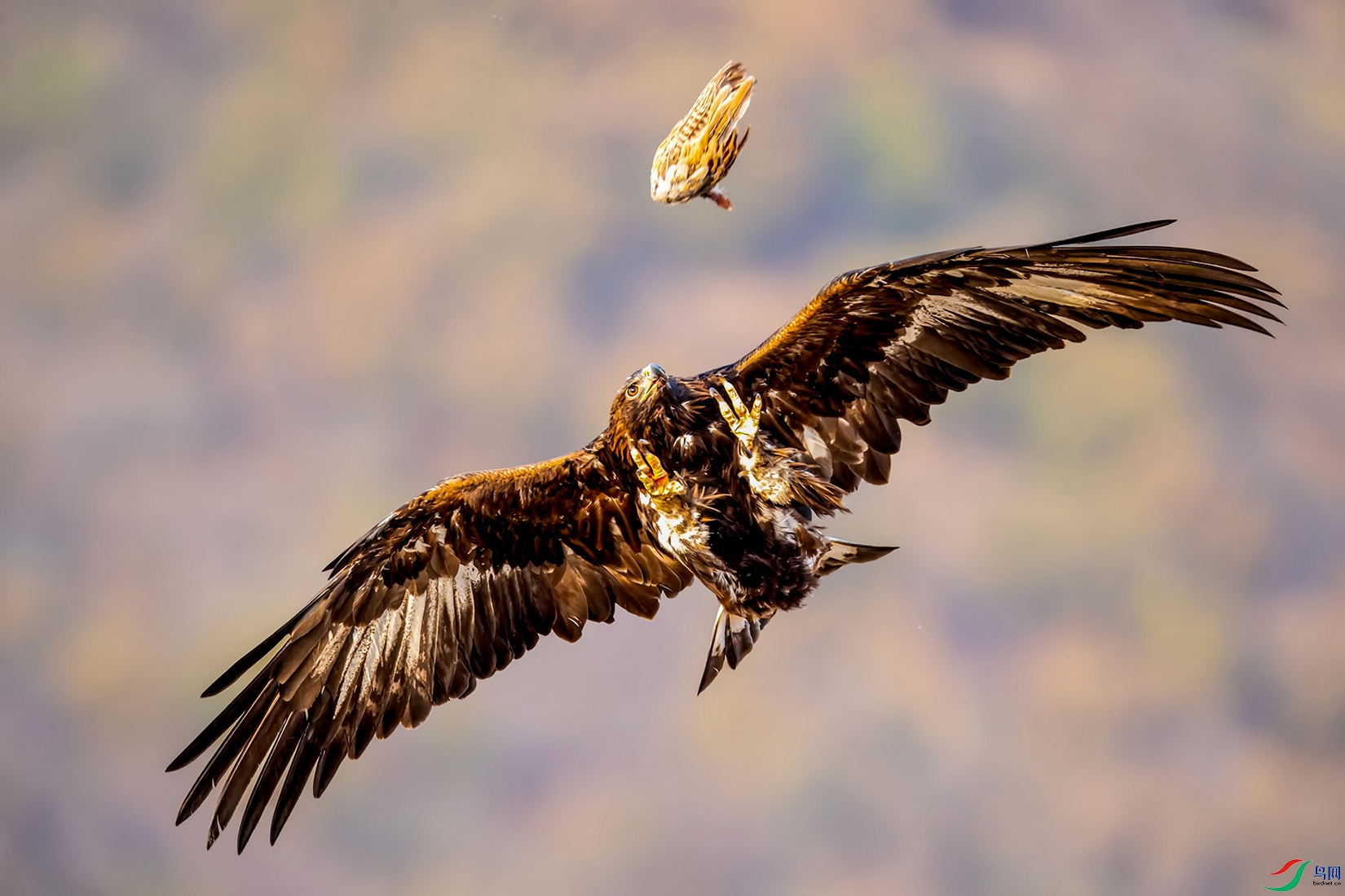 ����Ȫˮ���ˣ���˫ȫ�� (10).jpg