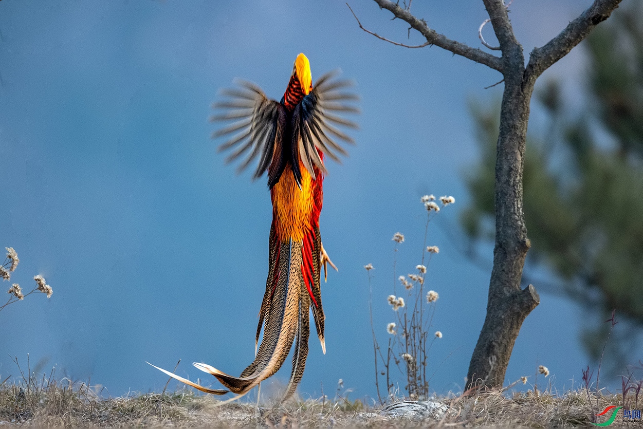 ����Ȫˮ���ˣ���˫ȫ�� (11).jpg