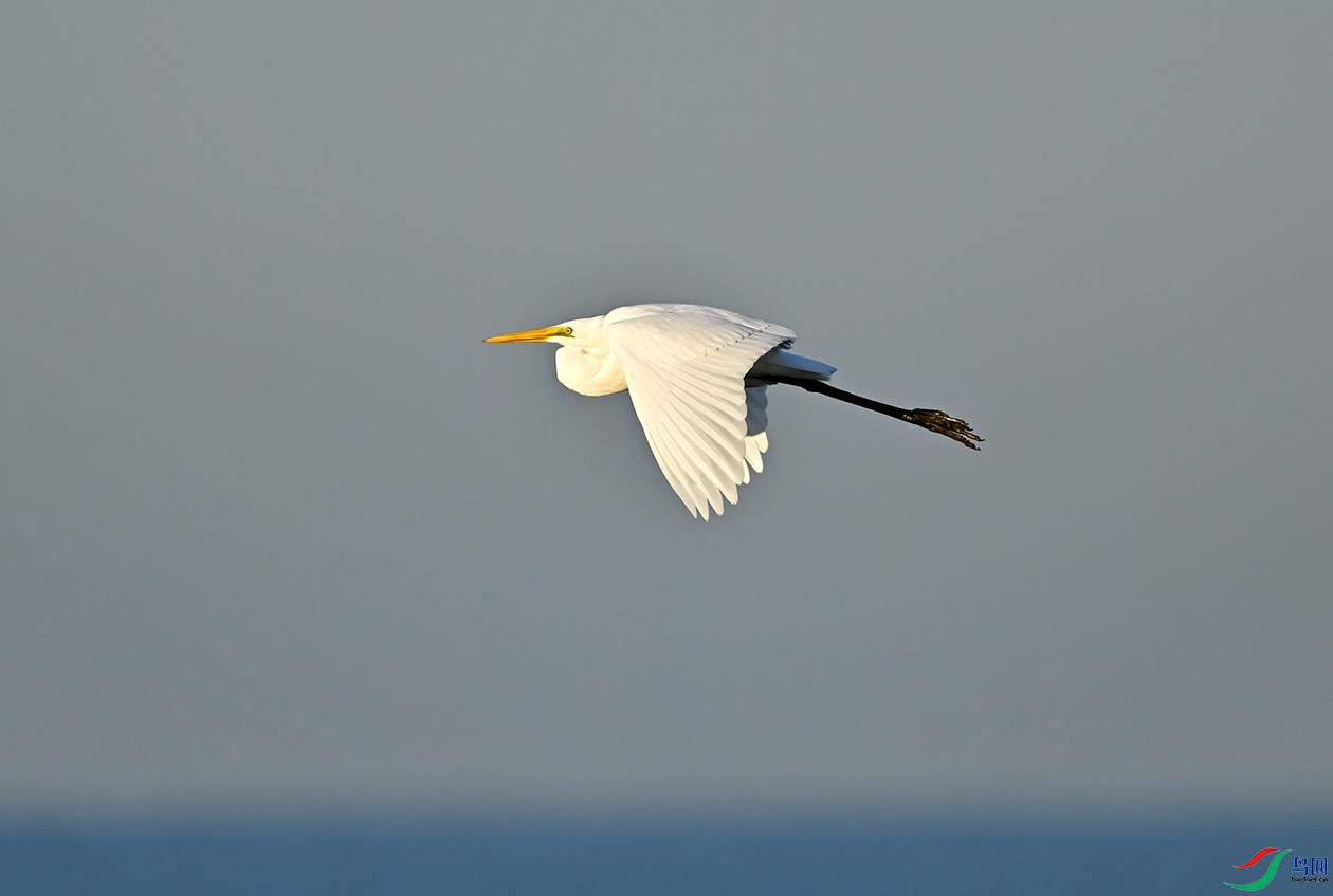 _DSC7102.jpg