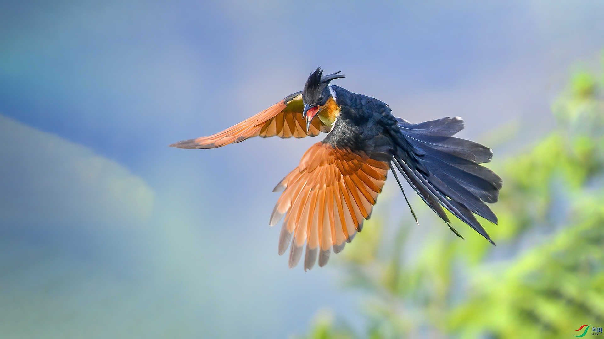 DSC_97mm68.jpg