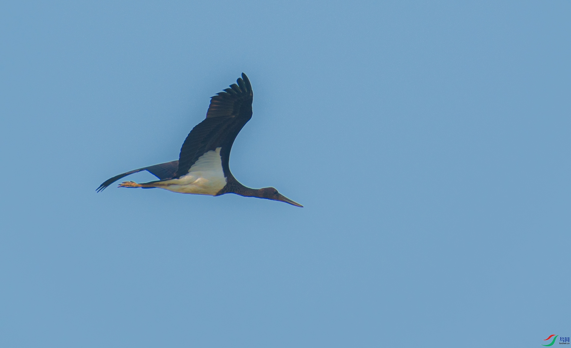 DSC_7500.jpg