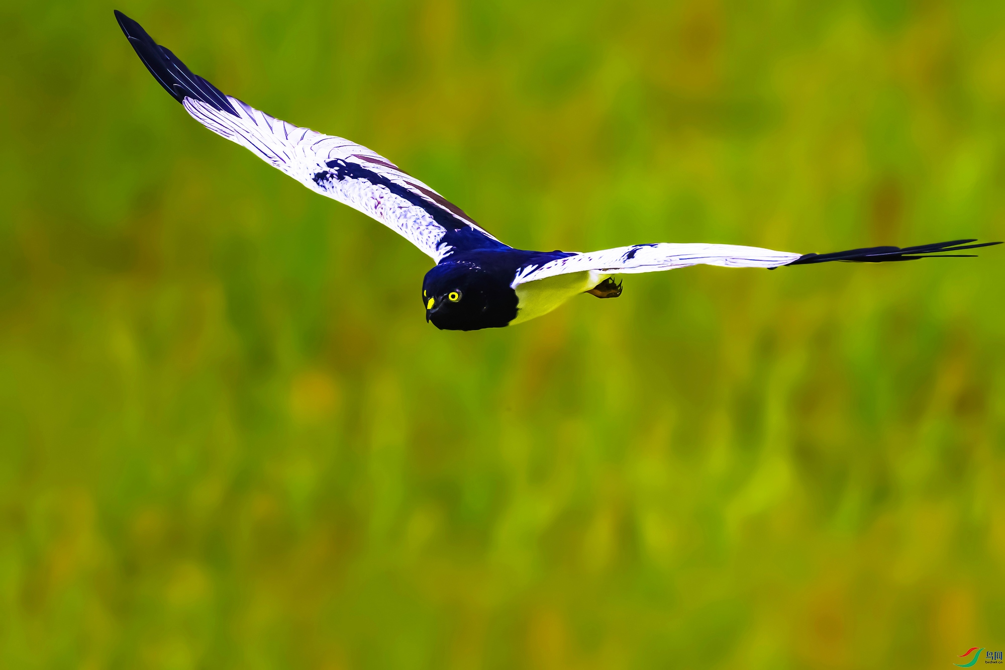 A56I3551 ����.jpg