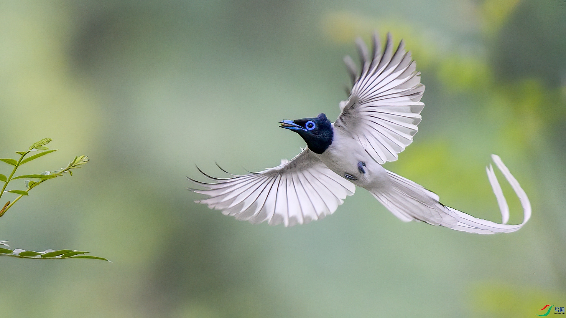 ������ ƮƮ����  ɭ��.jpg