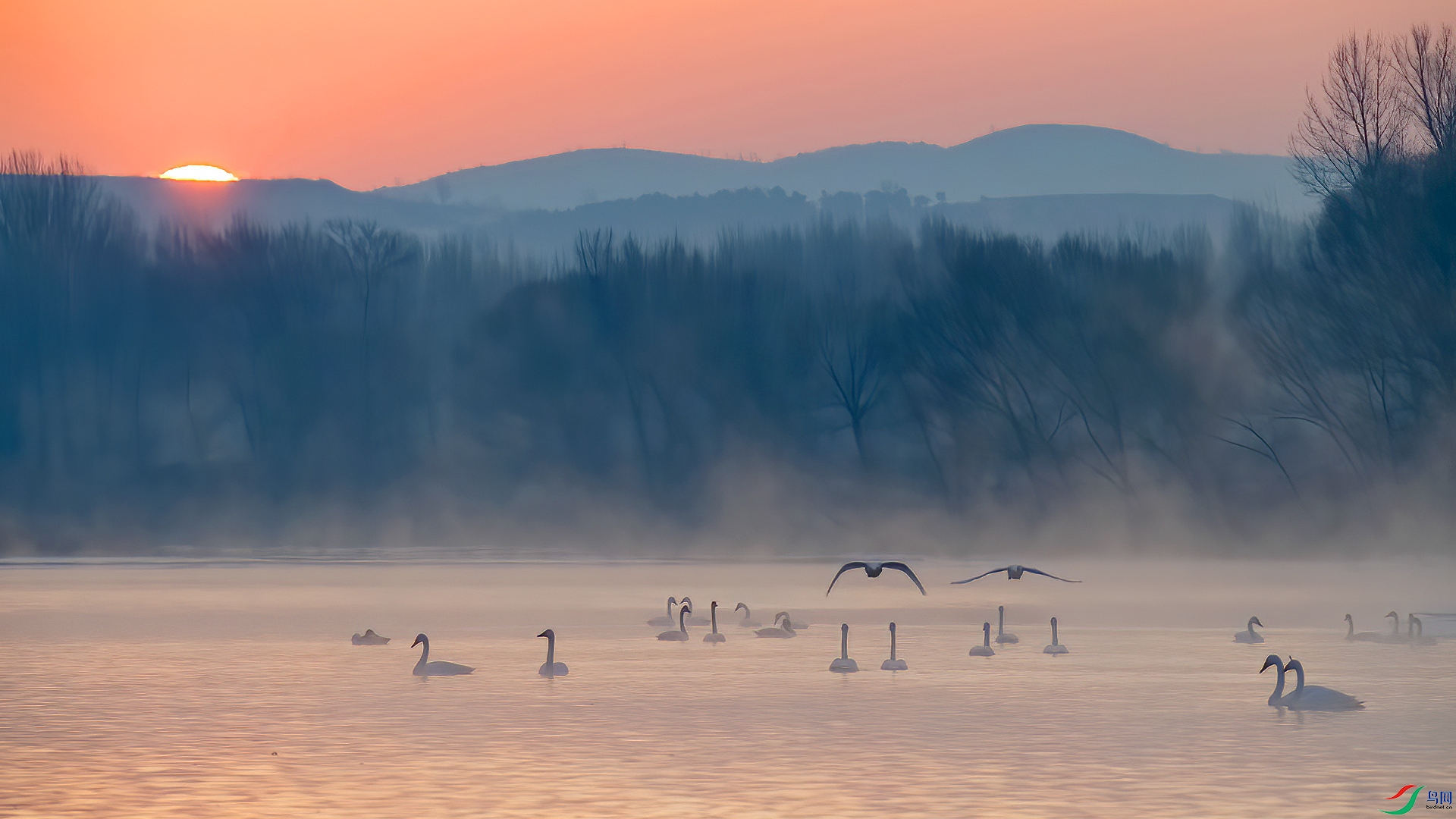 ������ �������糿.jpg