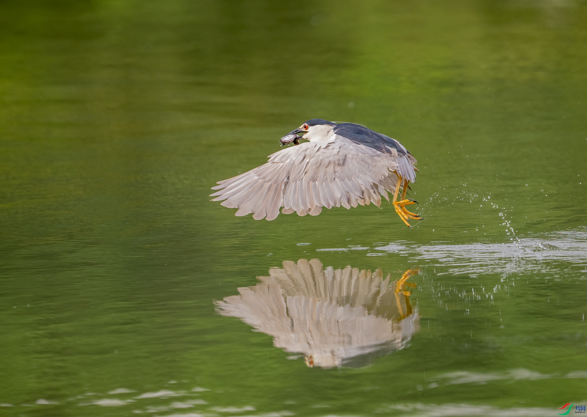 DSC_0792.jpg