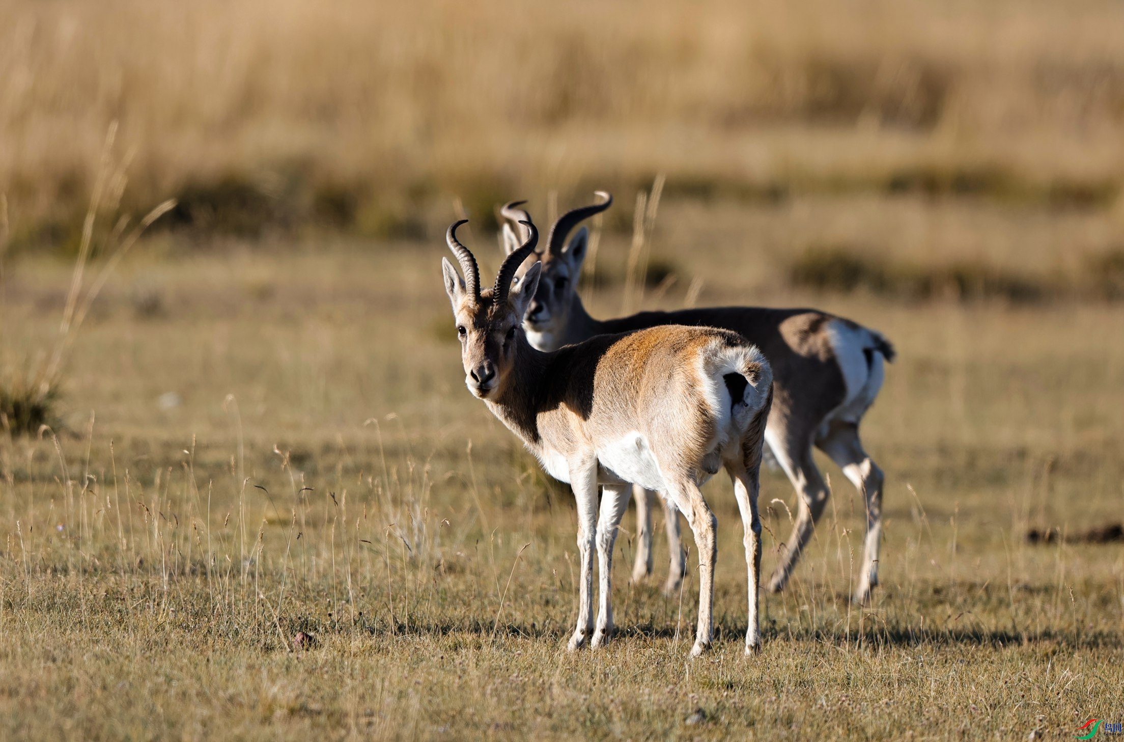 _X5A0728 - ����.JPG