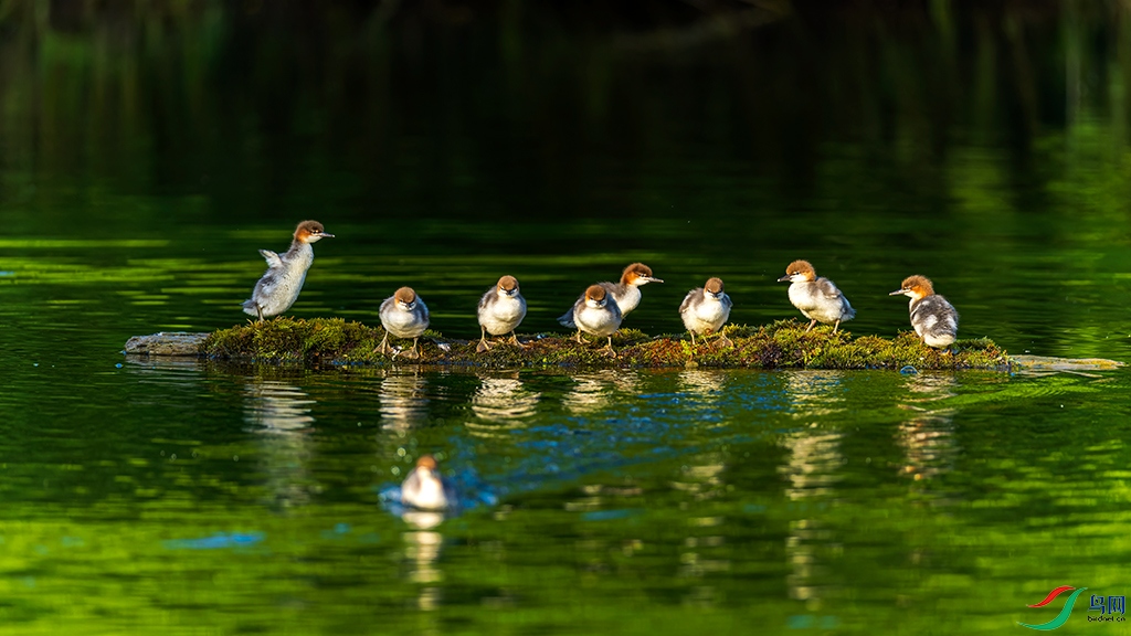 jlmjR230605 (518)_DxO.jpg