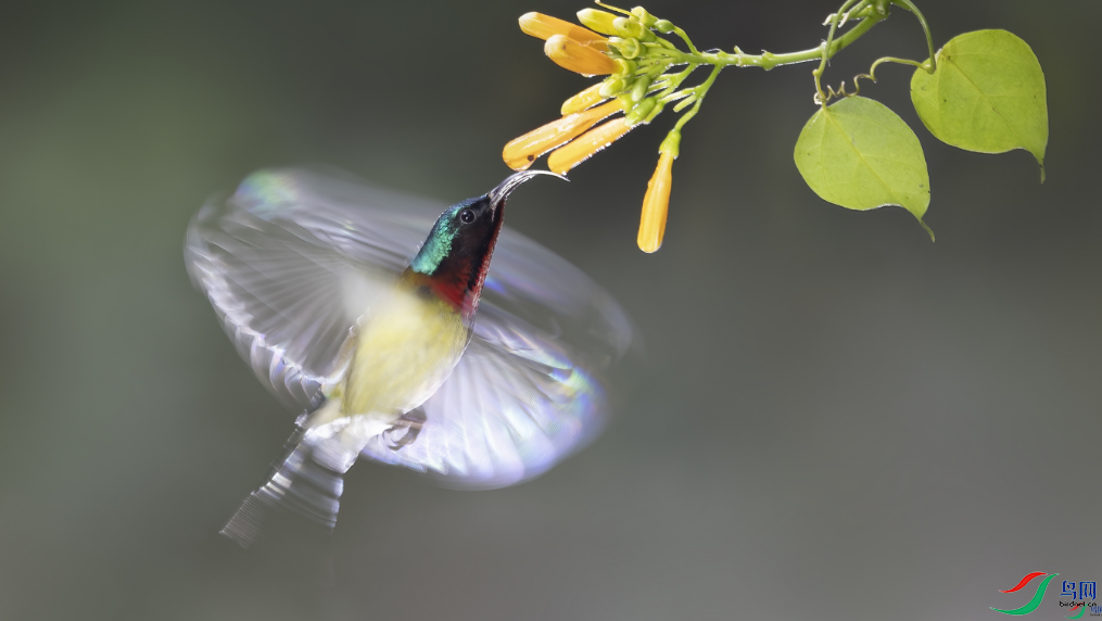 ľ��ˮ�� �����񹦣���ҳ������9.28.png