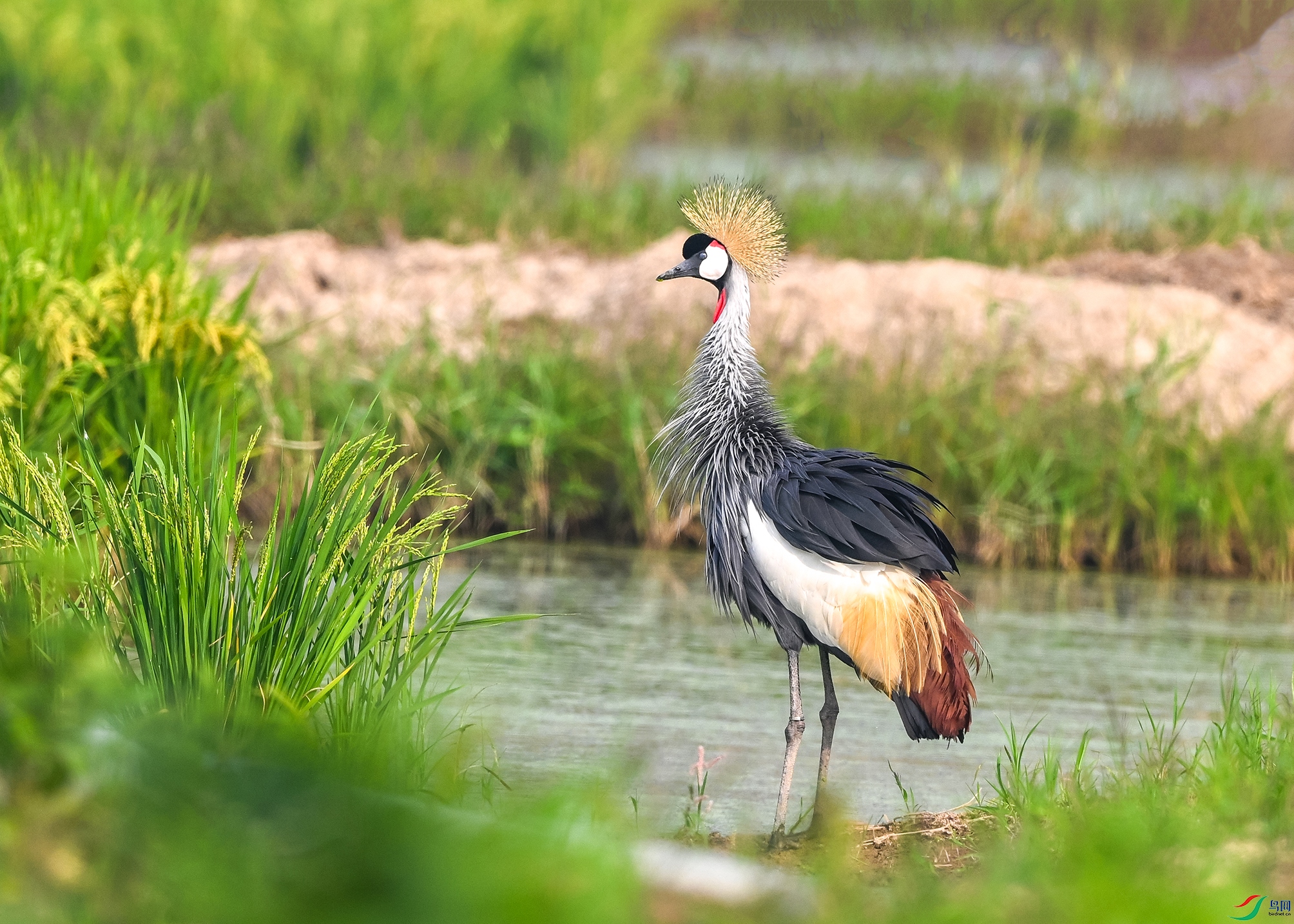 5245 ����.jpg