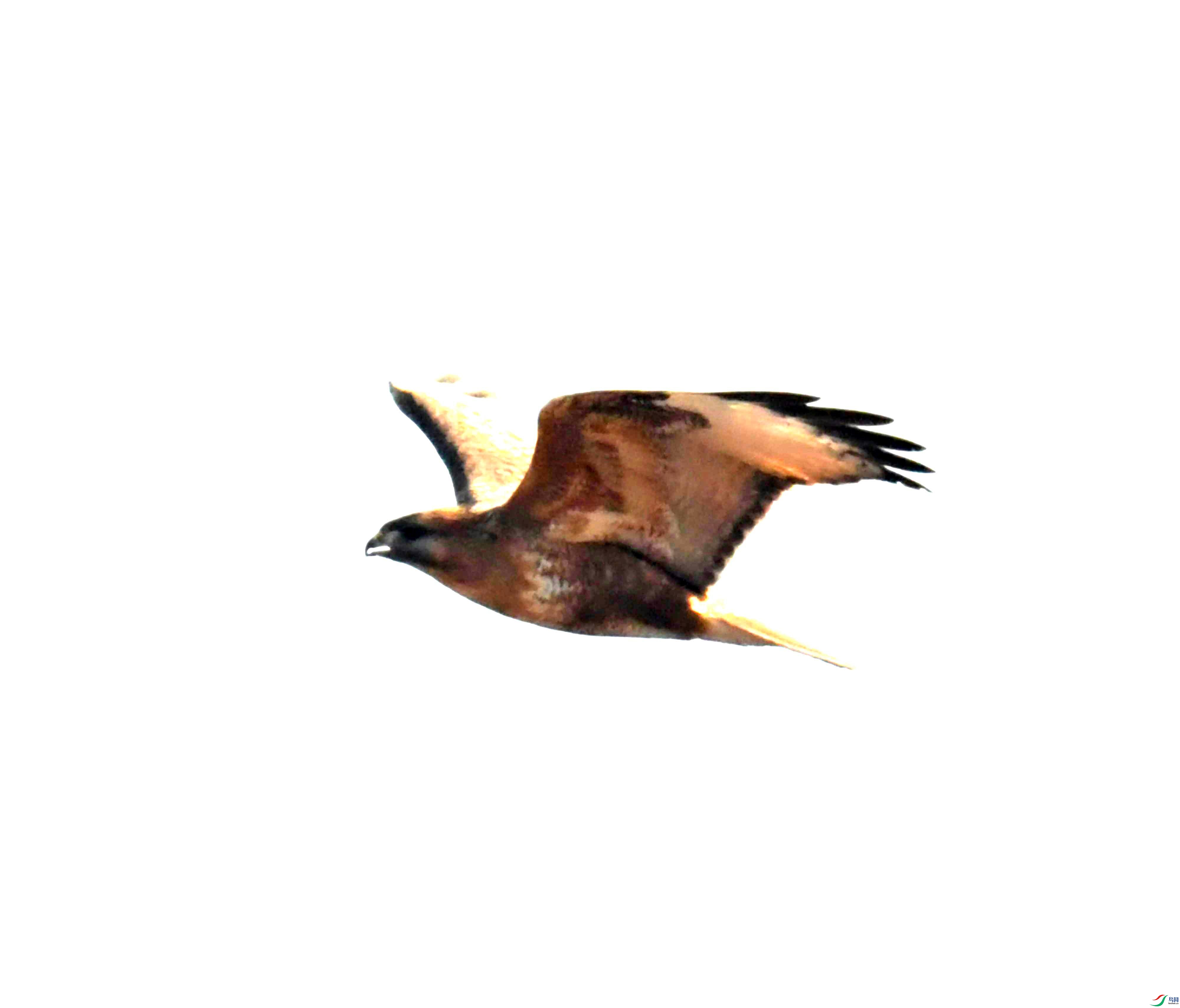 2 (6).JPEG