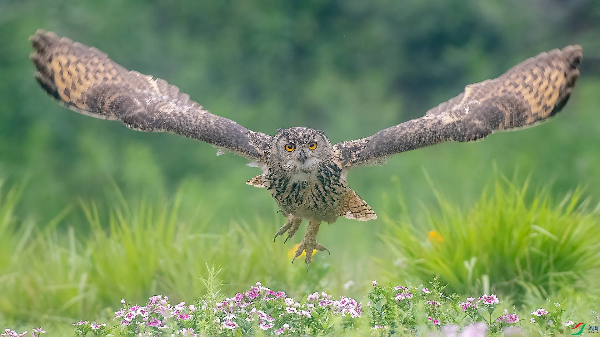 ��1���� .jpg