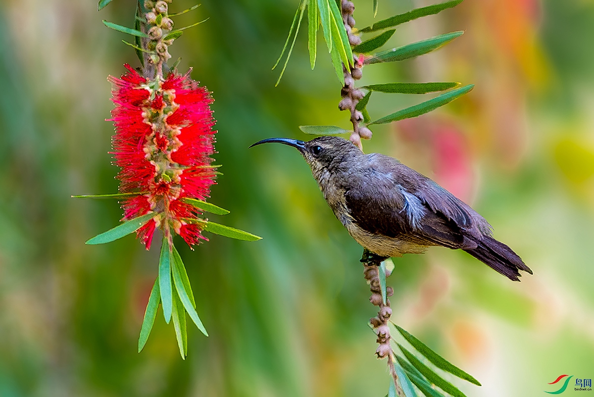 ���˻����� ����.jpg