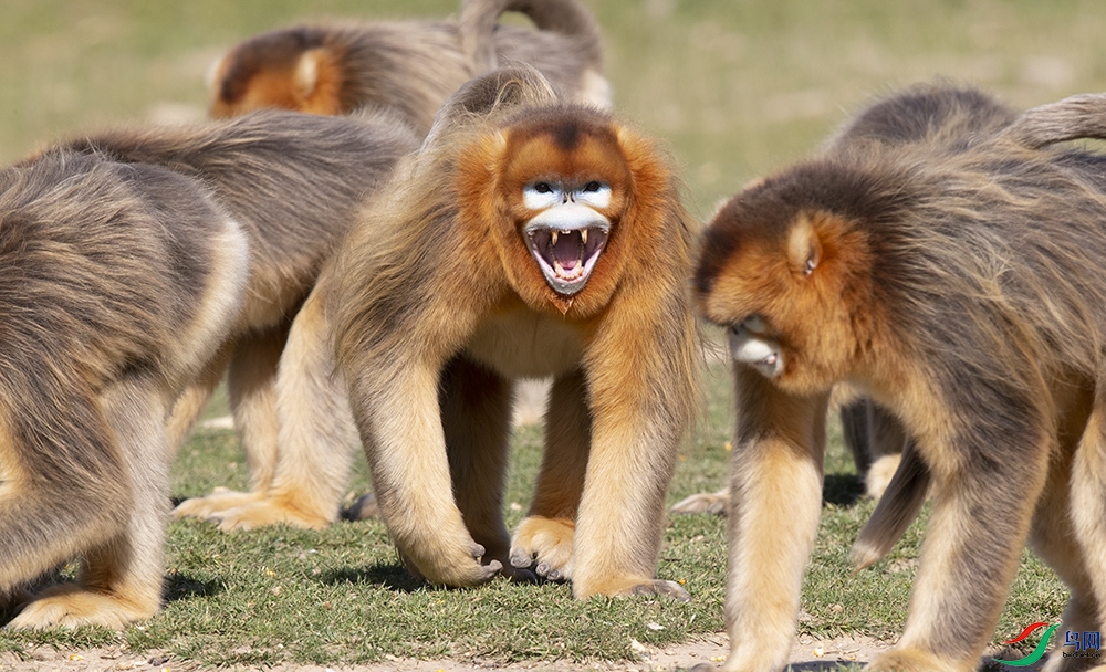 ��˿�� (2).jpg