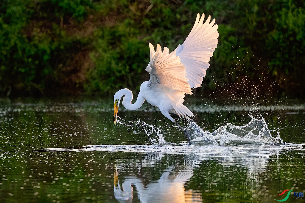 ������ ˮ��Ʈ ��Ӱ����.jpg