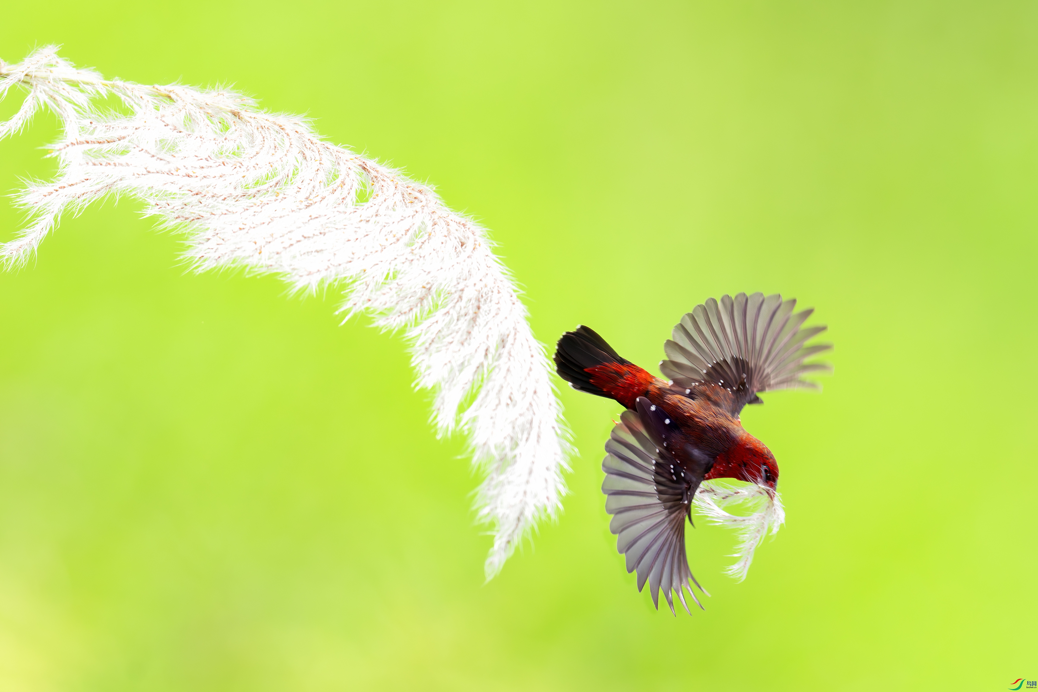 ����_DSC4104.jpg