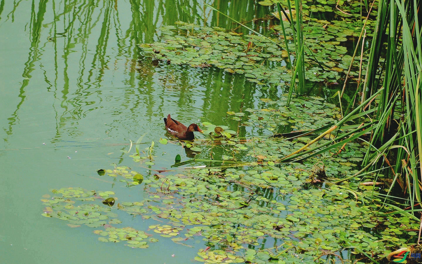 606 (107)_����_����.jpg