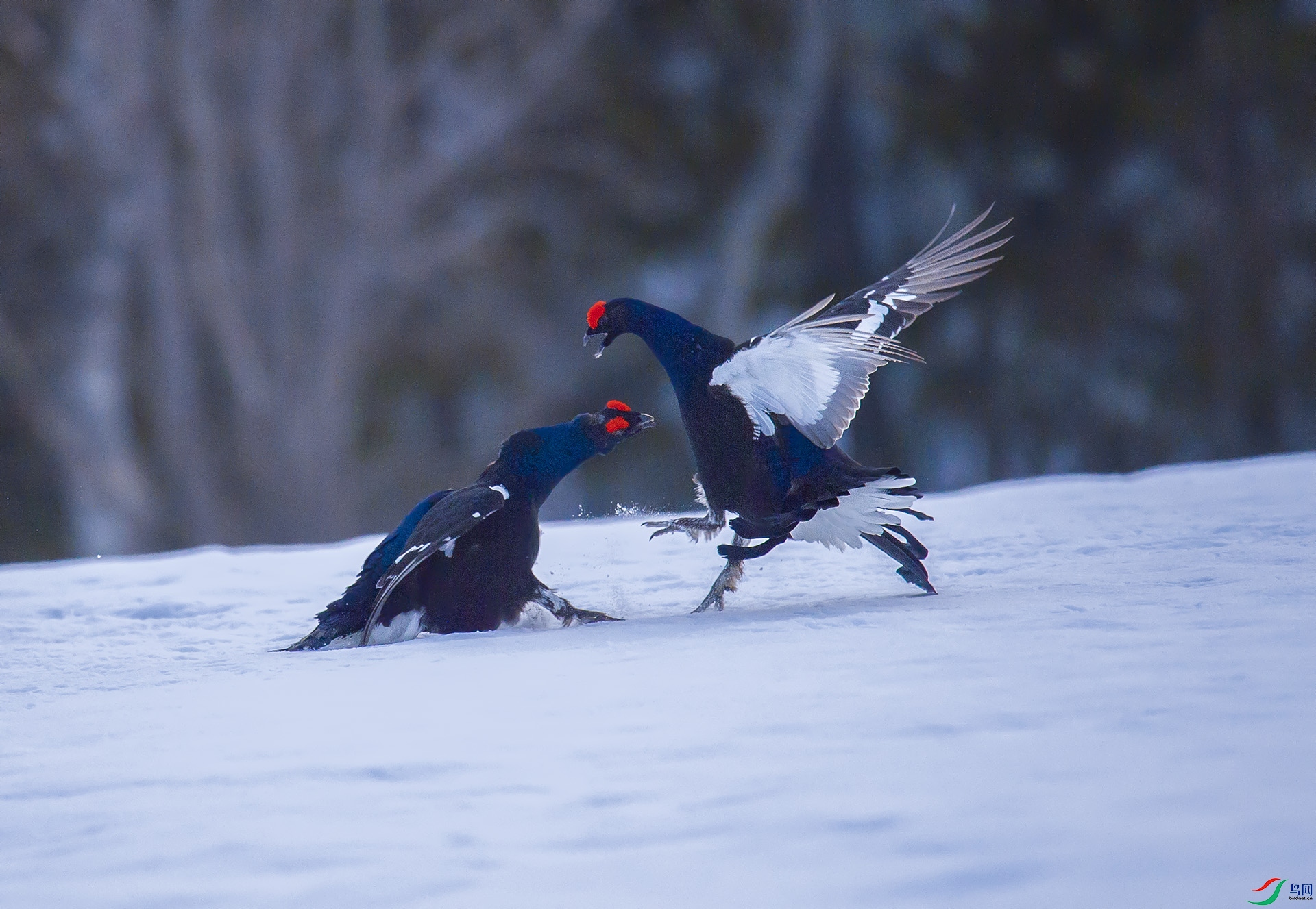 ��DSC7773 ��ؐ.jpg