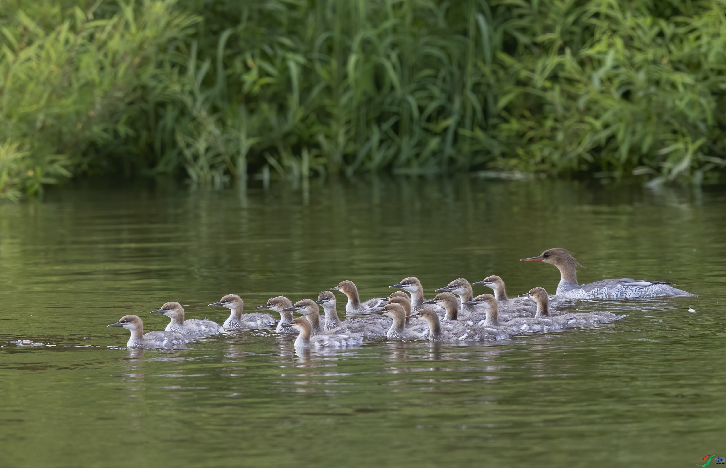 AC3I4725 ����.jpg