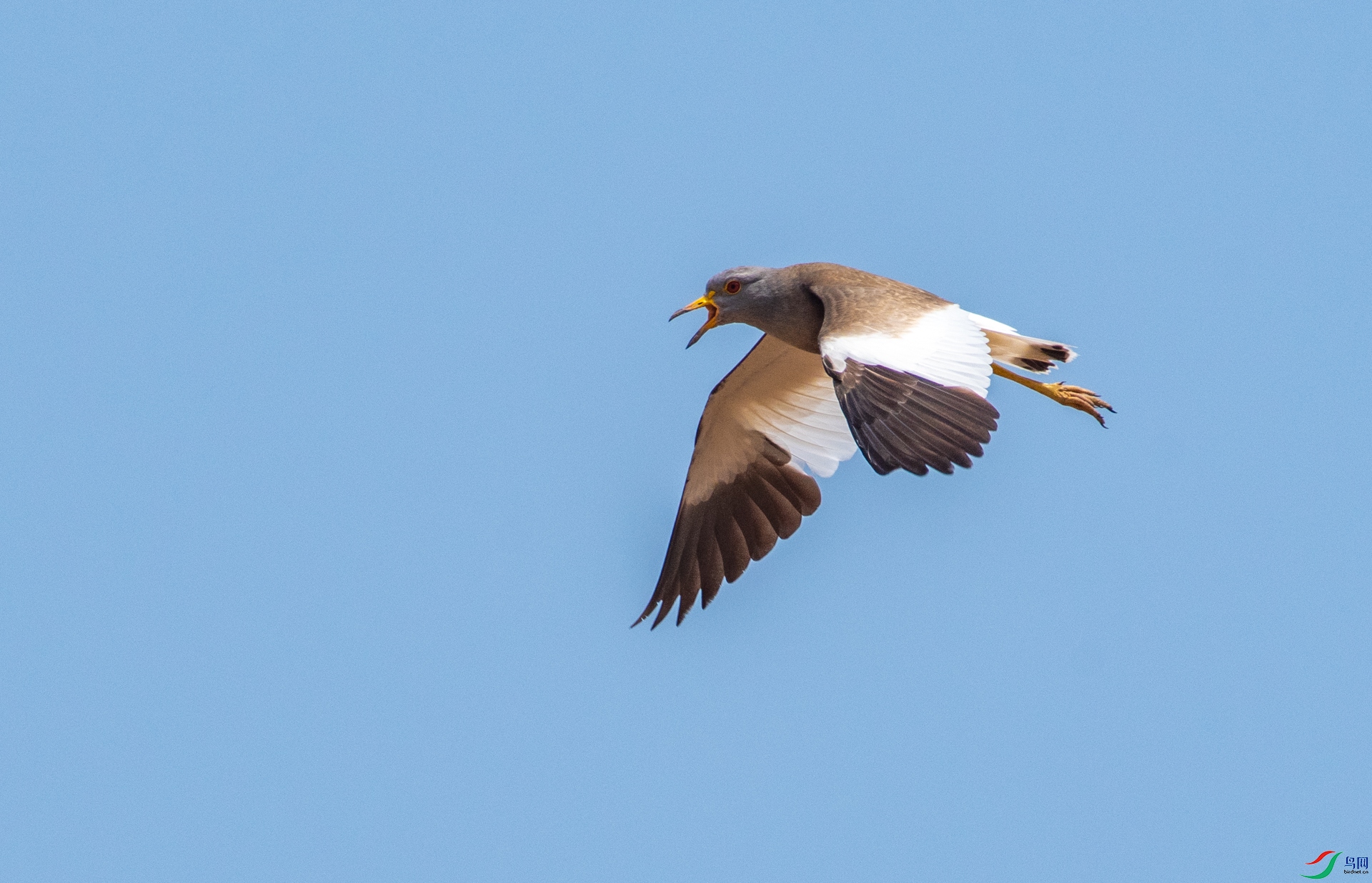 DSC_3476.jpg