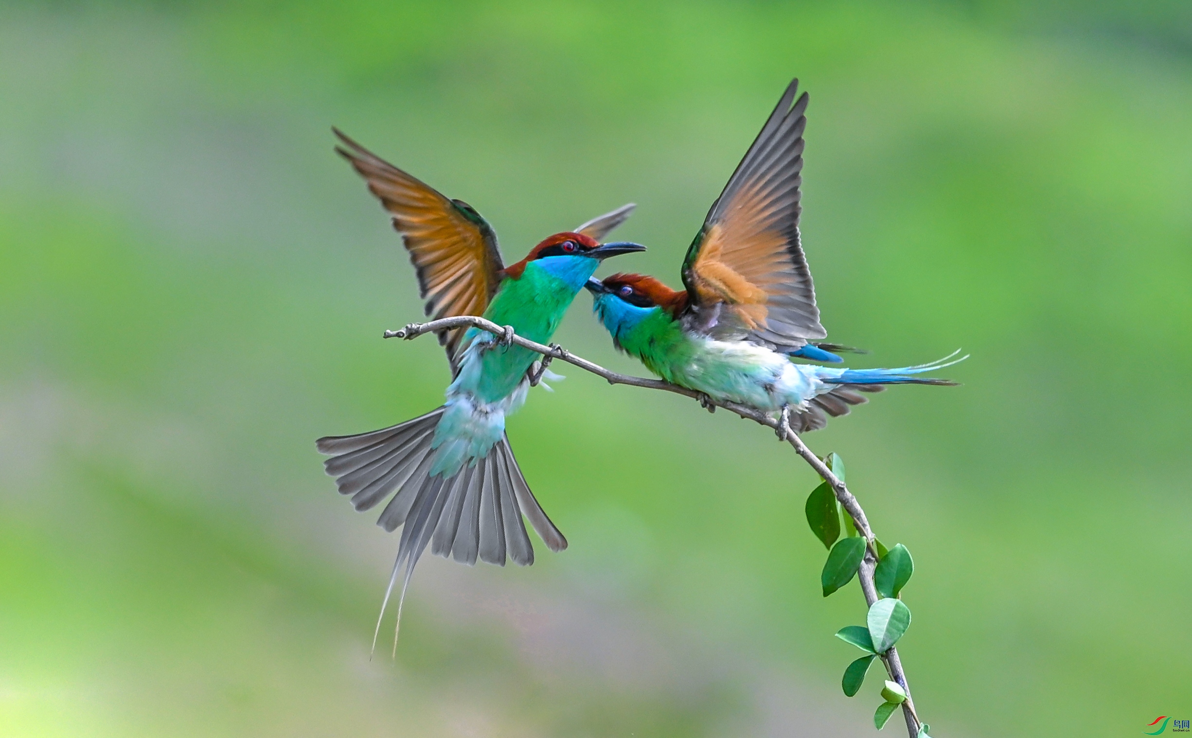 ��ͼDSC_5470.jpg