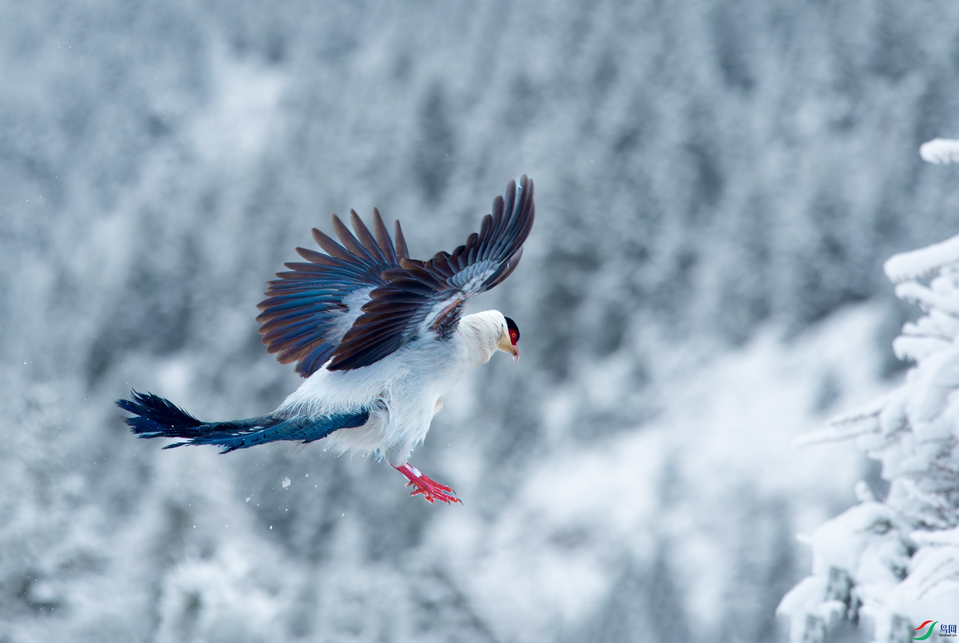 DSC_8074 -1.jpg