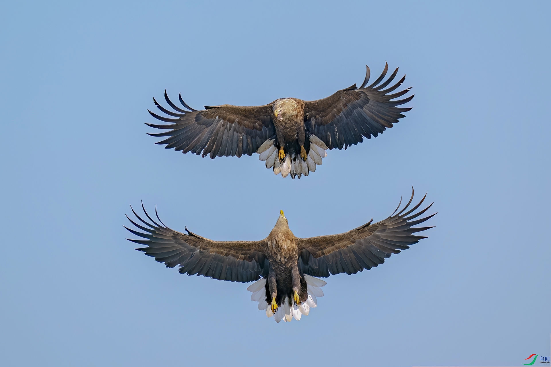 ������ ˫��֮�� (2).jpg