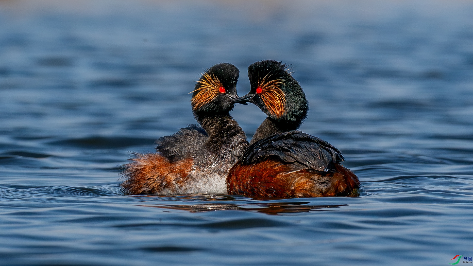 DSC01069-����ǿ-NR ����.jpg