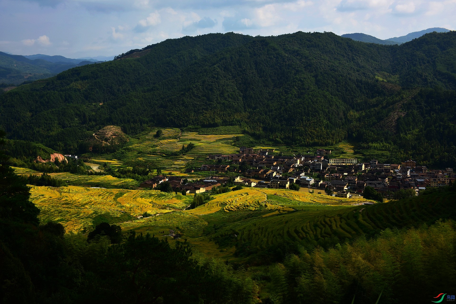 D8I_2890.jpg