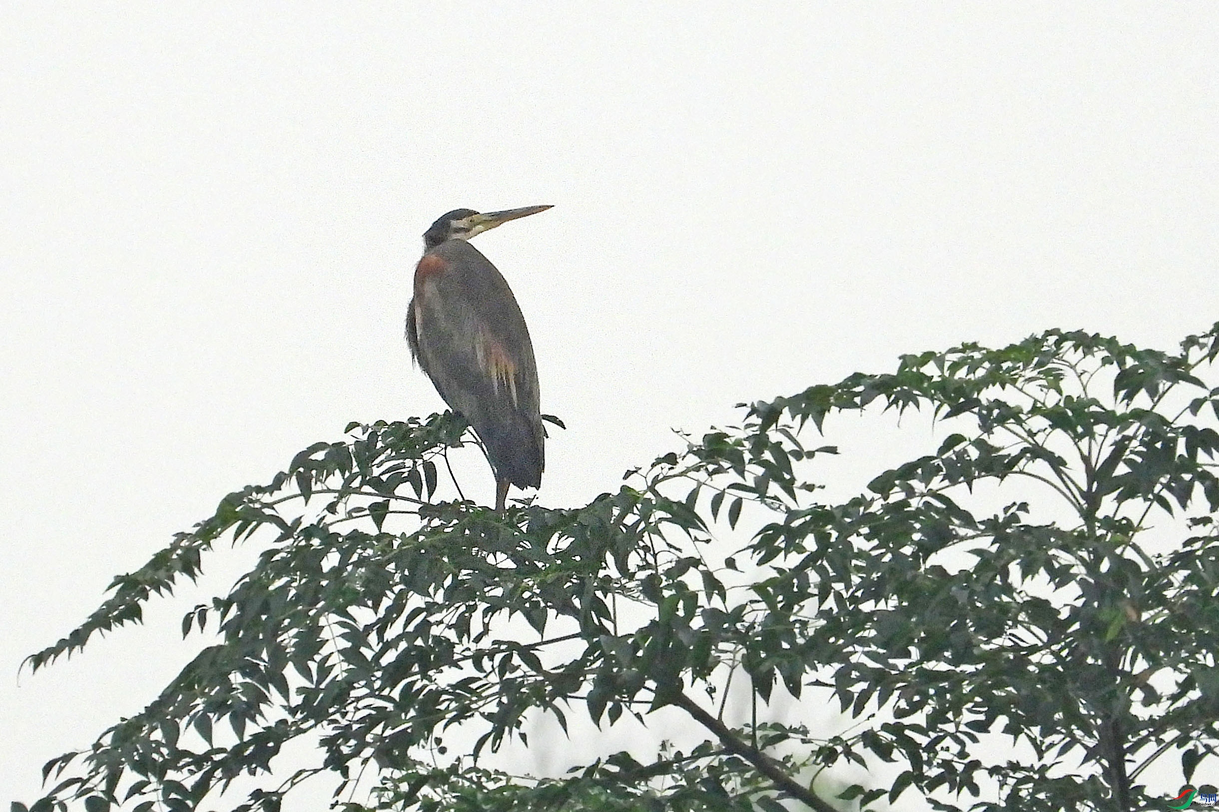 DSCN1237.JPG