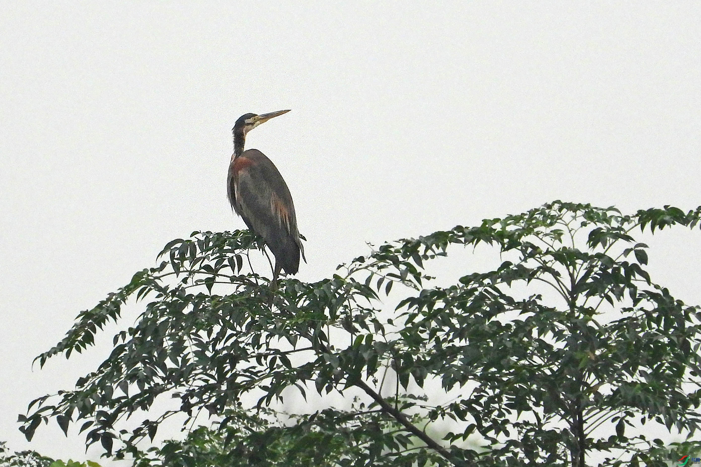 DSCN1229.JPG