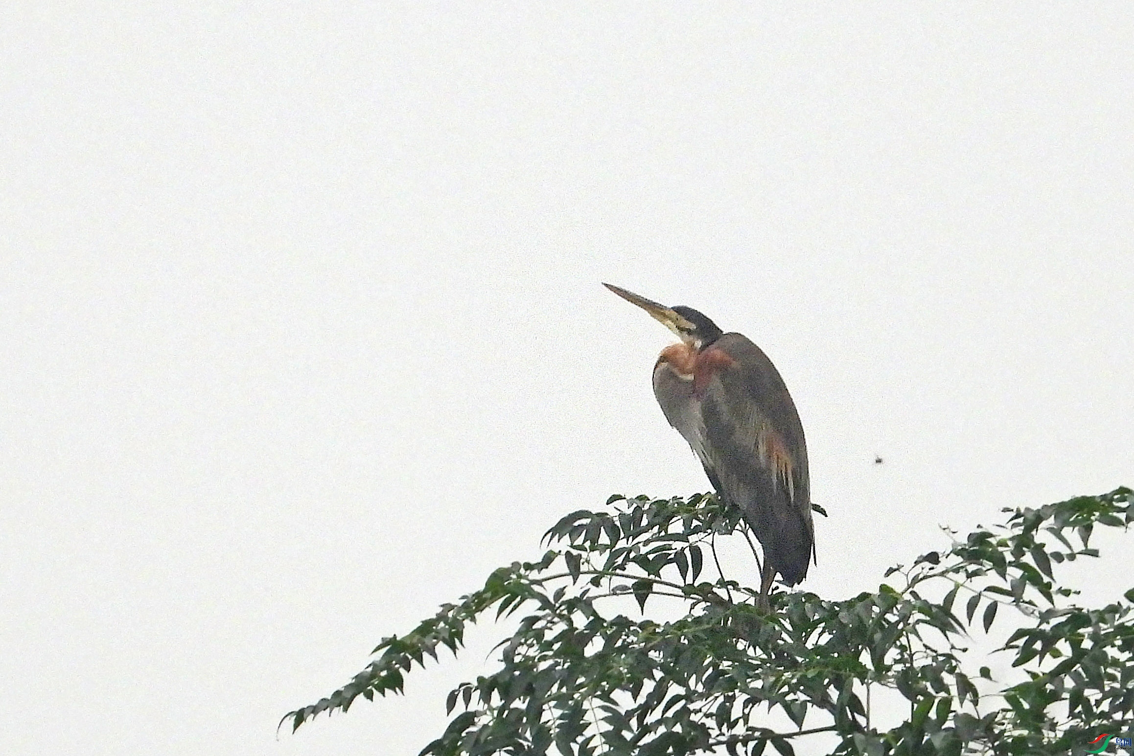 DSCN1235.JPG