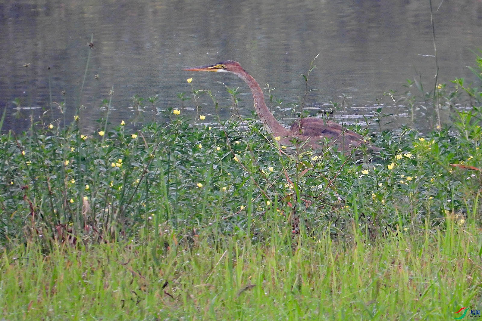 DSCN1242.jpg