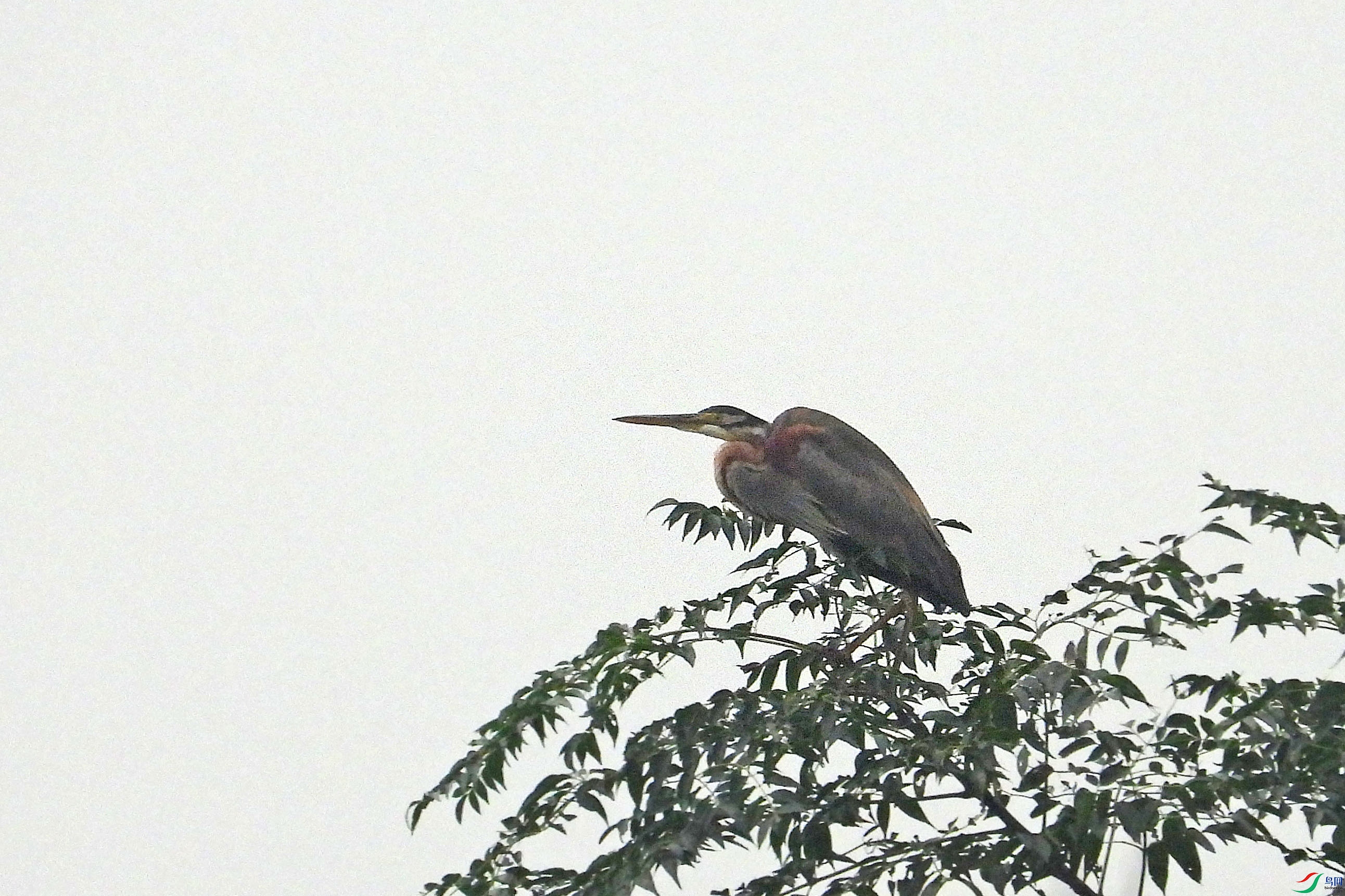 DSCN1238.JPG