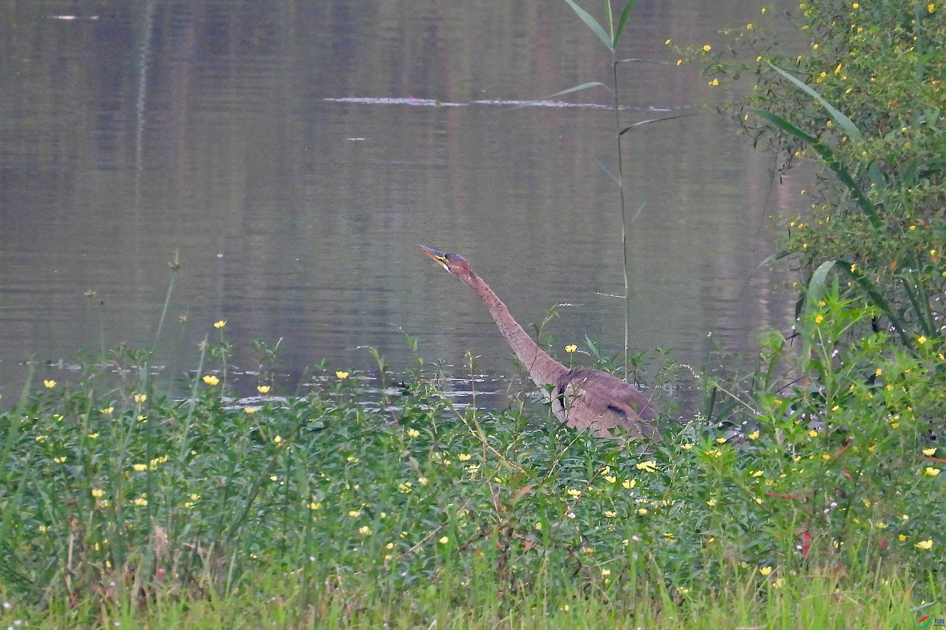 DSCN1253.JPG
