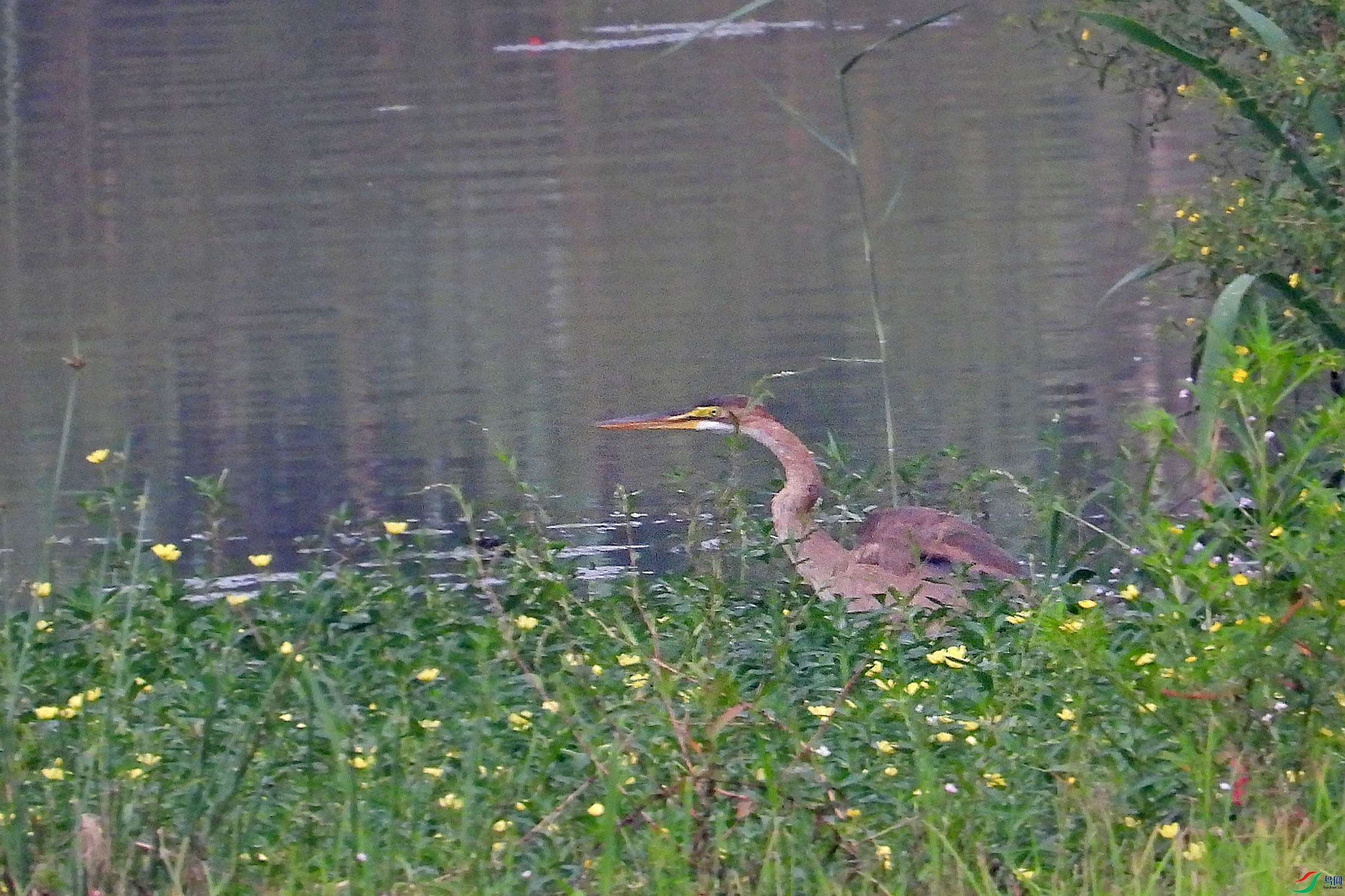 DSCN1256.JPG