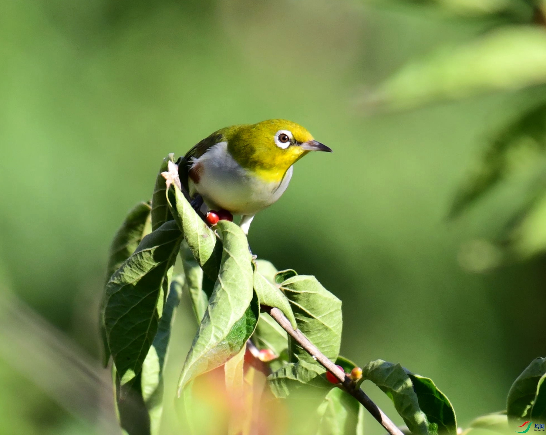 DSC_1386.jpg