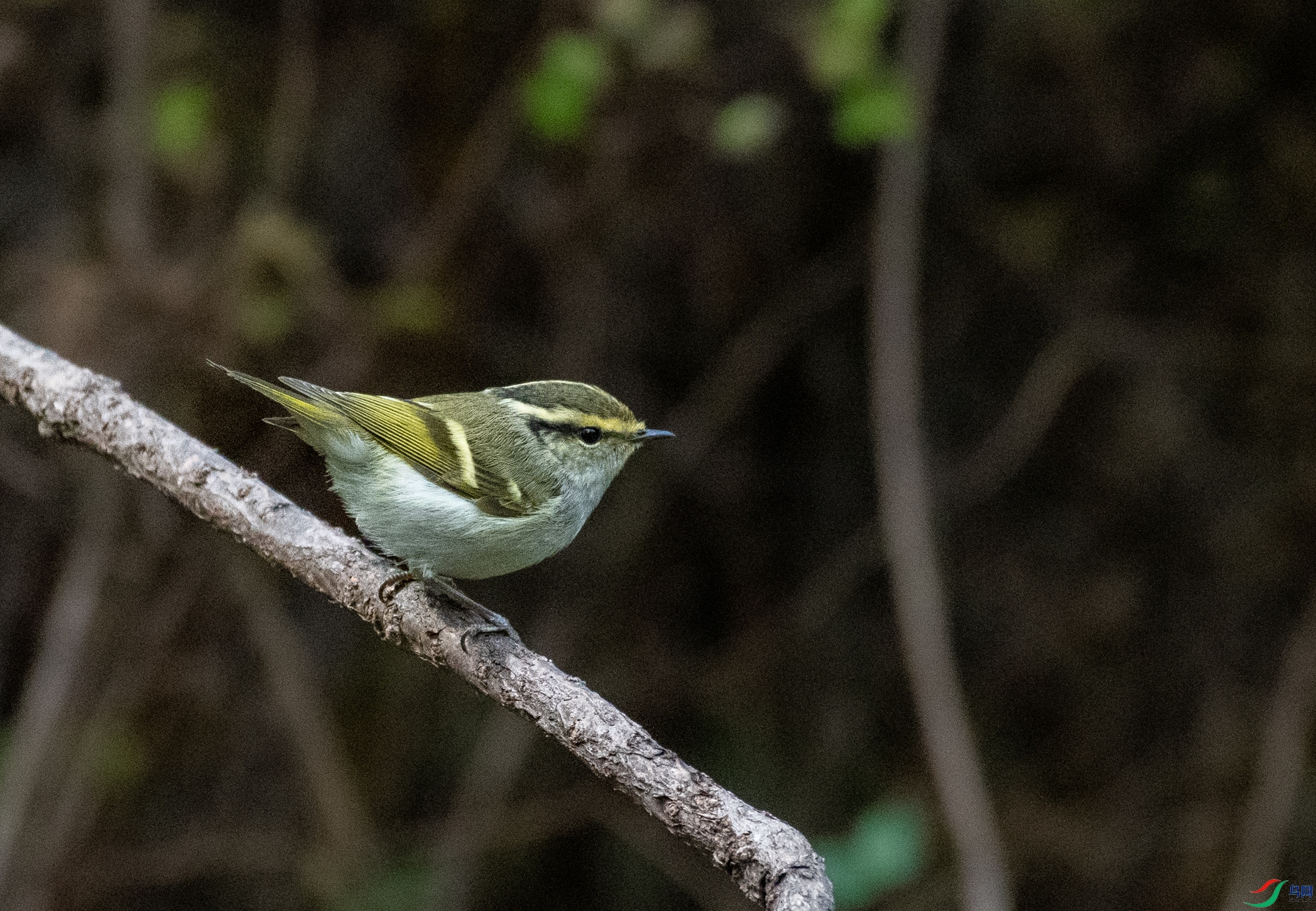 DSC_3355.jpg