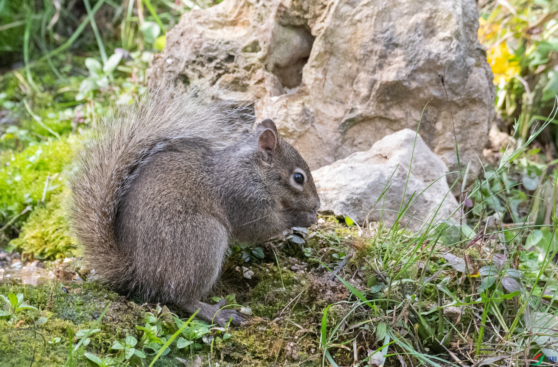 DSC_3604.jpg