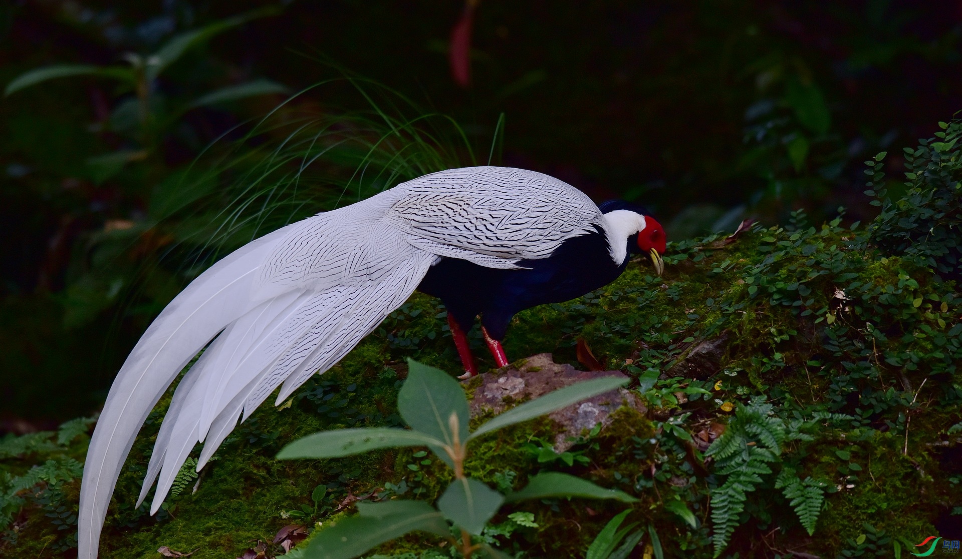 D8I_3660.jpg