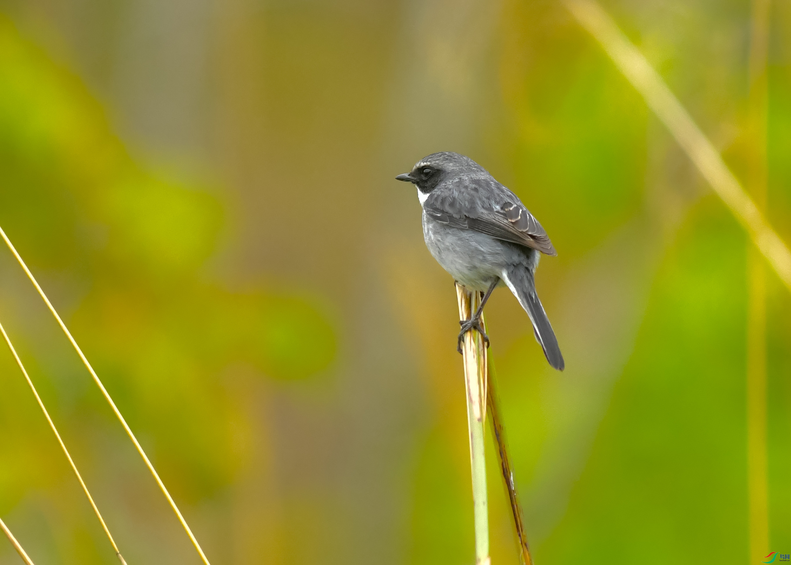 DSC_6746.JPG
